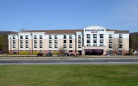 Springhill Suites By Marriott Lynchburg Airport/University Area